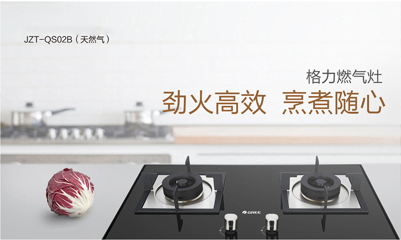 勁火高效燃氣灶JZT-QS02BaJZY-QS02Ba